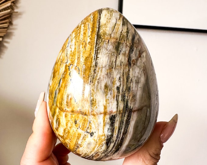 Ocean jasper egg shape ornament large crystal egg healing crystal home decor