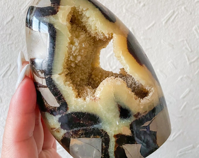 Premium Septarian crystal Freeform healing crystal home decor
