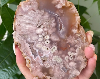 Rare flower agate crystal |cherry blossom agate home decoration | flower agate specimen | healing crystal | birthday gift|anniversary gift