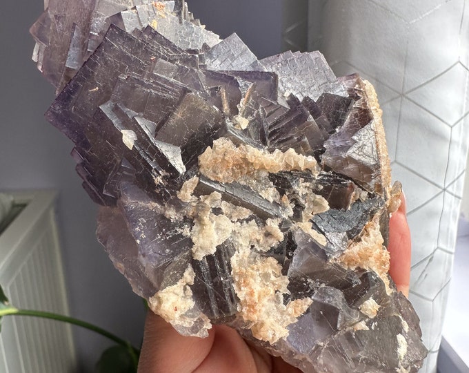 Rare Indigo fluorite premium fluorite specimen ( Pakistan, Baluchistan province, lorlai district ) crystal mineral specimen