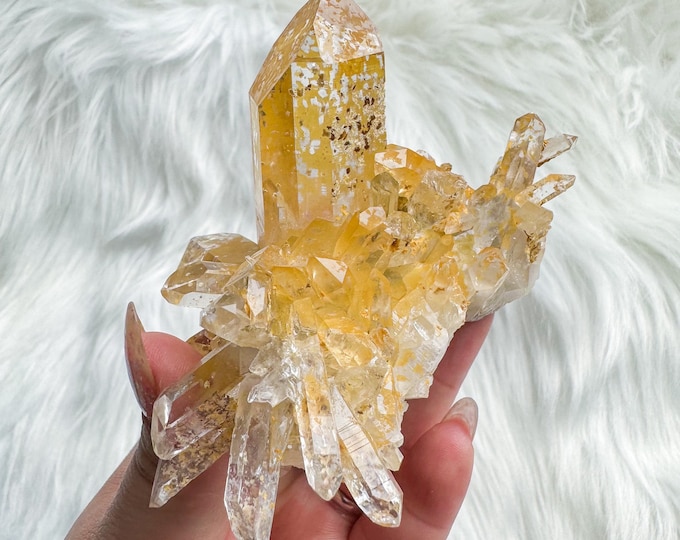 Golden healer quartz cluster mineral specimen | natural premium crystal cluster  | crystal healing home decoration | positive fengshui home