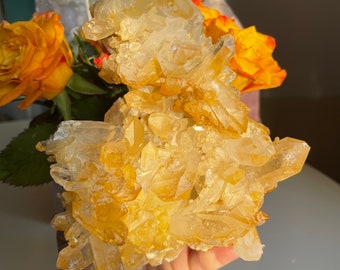 Golden healer quartz cluster mineral specimen | natural premium crystal cluster  | crystal healing home decoration | positive fengshui home