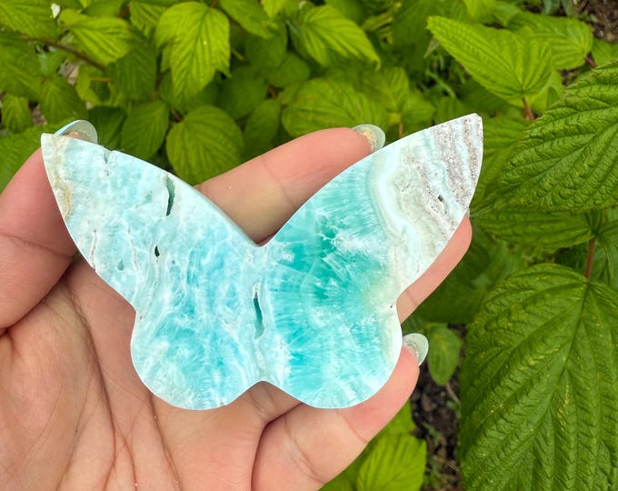 Blue aragonite Crystal Butterfly - Home Decoration | Healing Crystal Decor