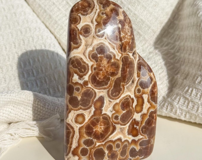 Rare Orbicular Chocolate Calcite Freeform – Grounding Crystal for Emotional Healing & Home Decor