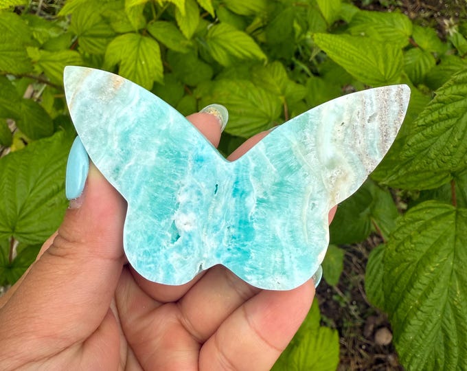 Blue aragonite Crystal Butterfly - Home Decoration | Healing Crystal Decor