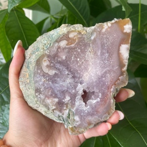 Rare flower agate crystal |cherry blossom agate home decoration | flower agate specimen | healing crystal | birthday gift|anniversary gift