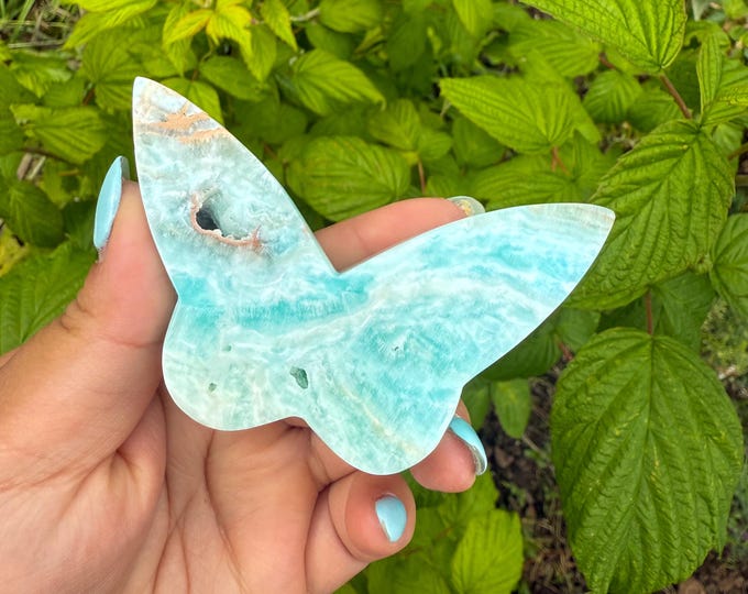 Blue aragonite Crystal Butterfly - Home Decoration | Healing Crystal Decor