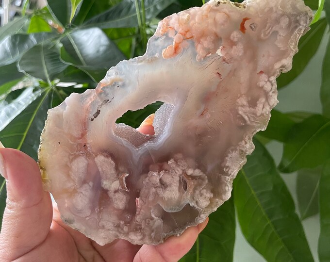 Rare flower agate crystal |cherry blossom agate home decoration | flower agate specimen | healing crystal | birthday gift|anniversary gift