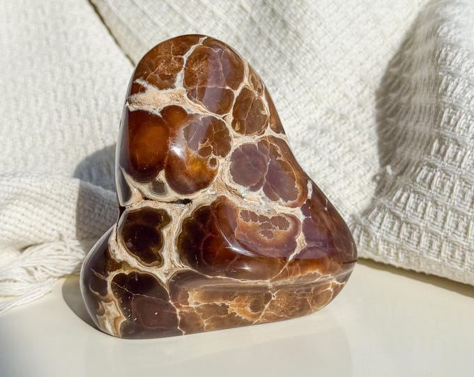 Rare Orbicular Chocolate Calcite Freeform – Grounding Crystal for Emotional Healing & Home Decor