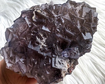 Rare Indigo fluorite premium fluorite specimen ( Pakistan, Baluchistan province, lorlai district ) crystal mineral specimen