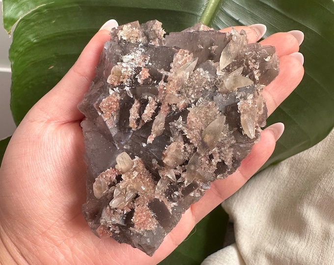 Rare Indigo fluorite premium fluorite specimen ( Pakistan, Baluchistan province, lorlai district ) crystal mineral specimen