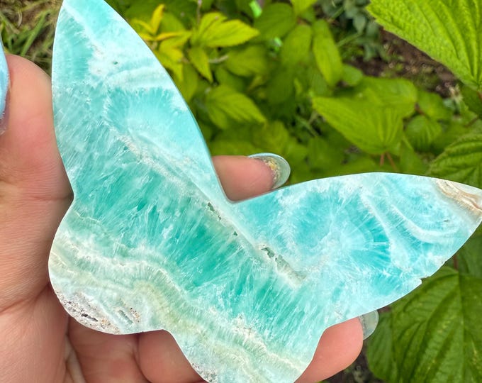 Blue aragonite Crystal Butterfly - Home Decoration | Healing Crystal Decor