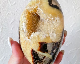Septarian crystal Freeform healing crystal home decor