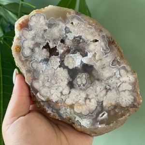 Rare flower agate crystal |cherry blossom agate home decoration | flower agate specimen | healing crystal | birthday gift|anniversary gift