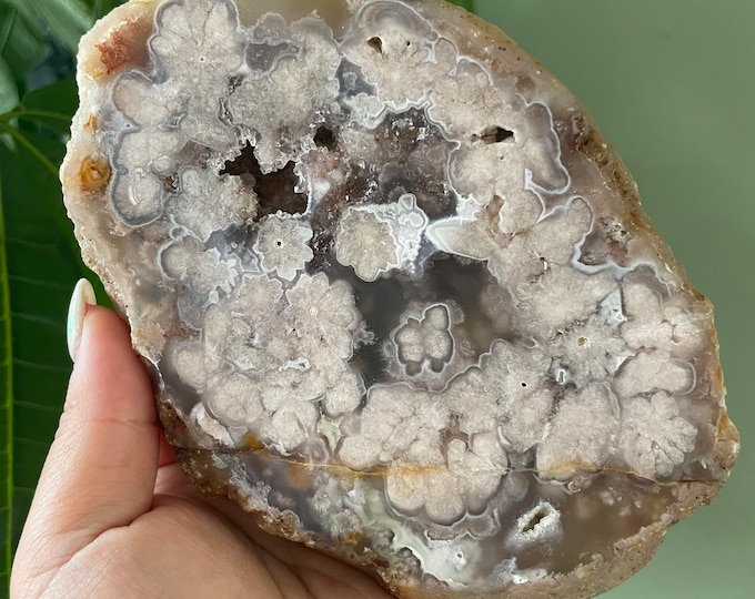 Rare flower agate crystal |cherry blossom agate home decoration | flower agate specimen | healing crystal | birthday gift|anniversary gift