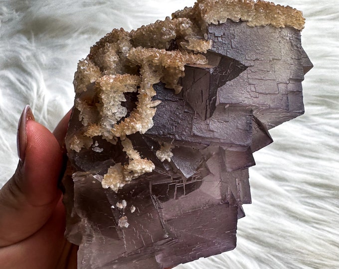 Rare Indigo fluorite premium fluorite specimen ( Pakistan, Baluchistan province, lorlai district ) crystal mineral specimen