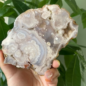 Rare flower agate crystal |cherry blossom agate home decoration | flower agate specimen | healing crystal | birthday gift|anniversary gift