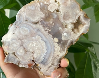 Rare flower agate crystal |cherry blossom agate home decoration | flower agate specimen | healing crystal | birthday gift|anniversary gift