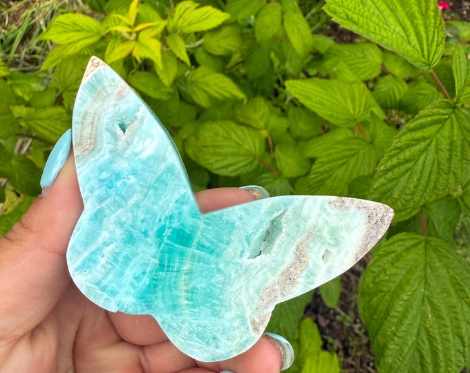 Blue aragonite Crystal Butterfly - Home Decoration | Healing Crystal Decor