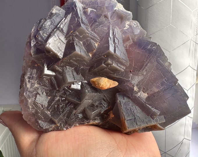 Large Indigo fluorite premium fluorite specimen ( Pakistan, Baluchistan province, lorlai district ) crystal mineral specimen