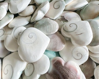 Natural Shiva Shell Heart | Small Heart gift with love and beautiful energy