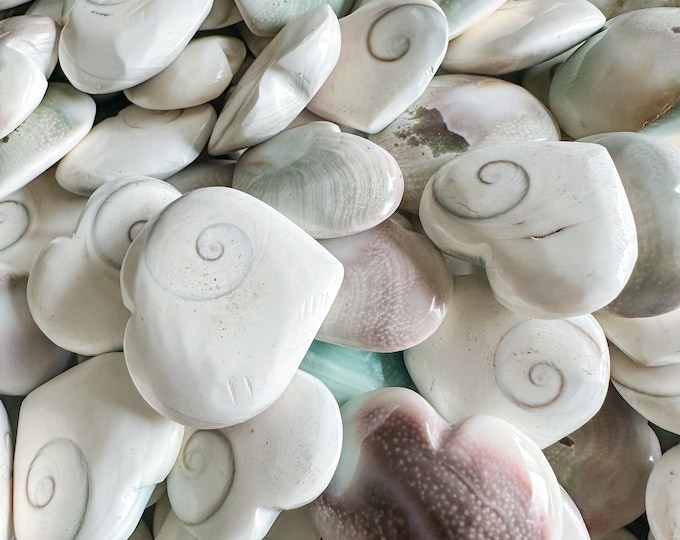 Natural Shiva Shell Heart | Small Heart gift with love and beautiful energy