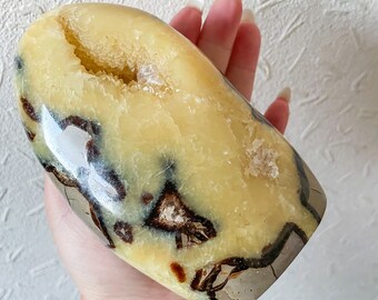 Premium Septarian “Dion egg” crystal Freeform healing crystal home decor