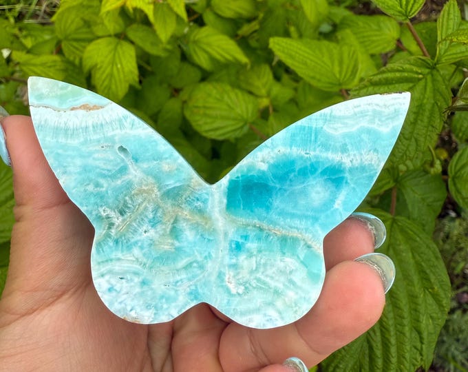 Blue aragonite Crystal Butterfly - Home Decoration | Healing Crystal Decor
