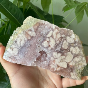 Rare flower agate crystal |cherry blossom agate home decoration | flower agate specimen | healing crystal | birthday gift|anniversary gift