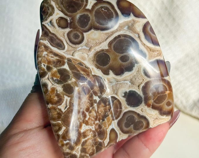 Rare Orbicular Chocolate Calcite Freeform – Grounding Crystal for Emotional Healing & Home Decor