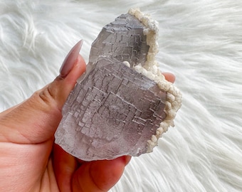 Rare Indigo fluorite premium fluorite specimen ( Pakistan, Baluchistan province, lorlai district ) crystal mineral specimen