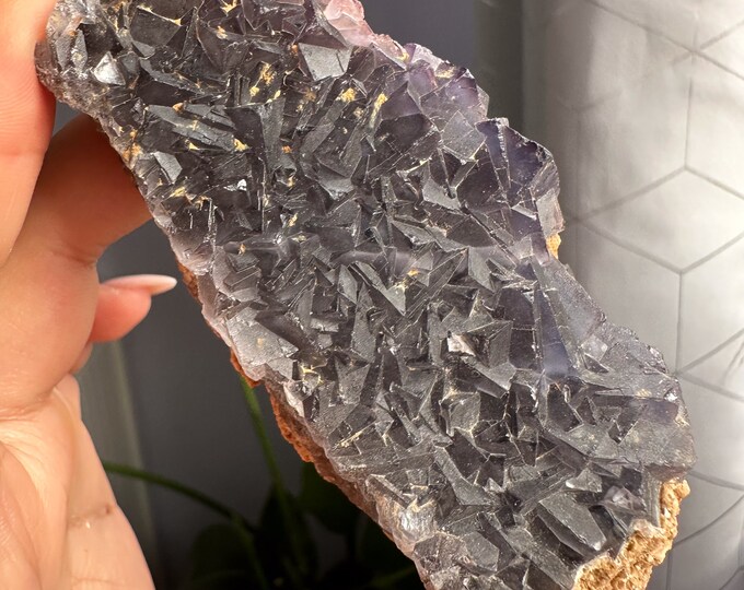 Rare Indigo fluorite premium fluorite specimen ( Pakistan, Baluchistan province, lorlai district ) crystal mineral specimen