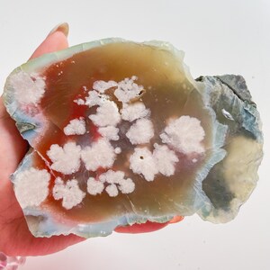 Rare flower agate crystal |cherry blossom agate home decoration | flower agate specimen | healing crystal | birthday gift|anniversary gift