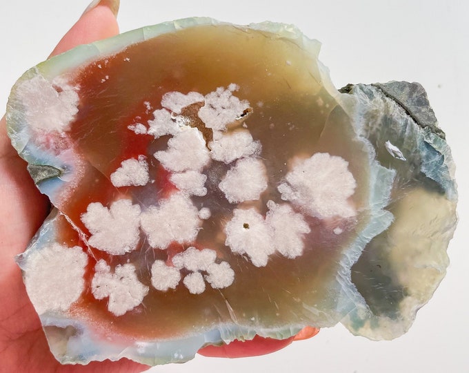 Rare flower agate crystal |cherry blossom agate home decoration | flower agate specimen | healing crystal | birthday gift|anniversary gift