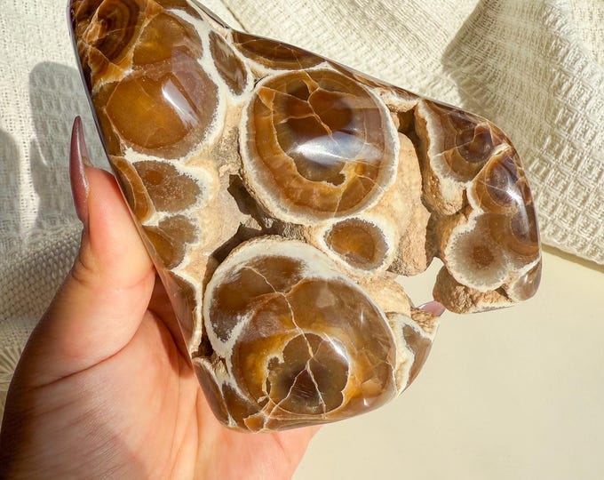 Rare Orbicular Chocolate Calcite Freeform – Grounding Crystal for Emotional Healing & Home Decor