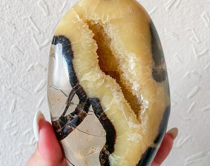 Septarian crystal Freeform healing crystal home decor