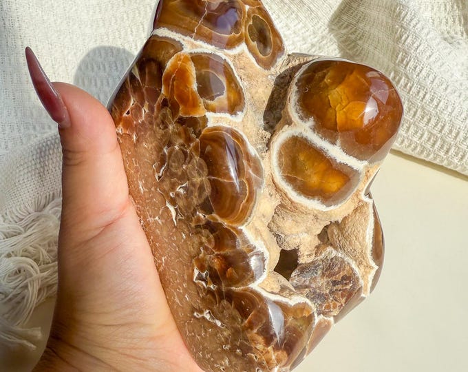 Rare Orbicular Chocolate Calcite Freeform – Grounding Crystal for Emotional Healing & Home Decor