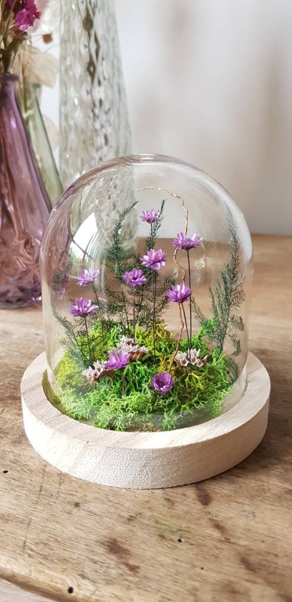 Jardin Sous Cloche en Verre Fait Main, Fleurs Séchées, Terrarium