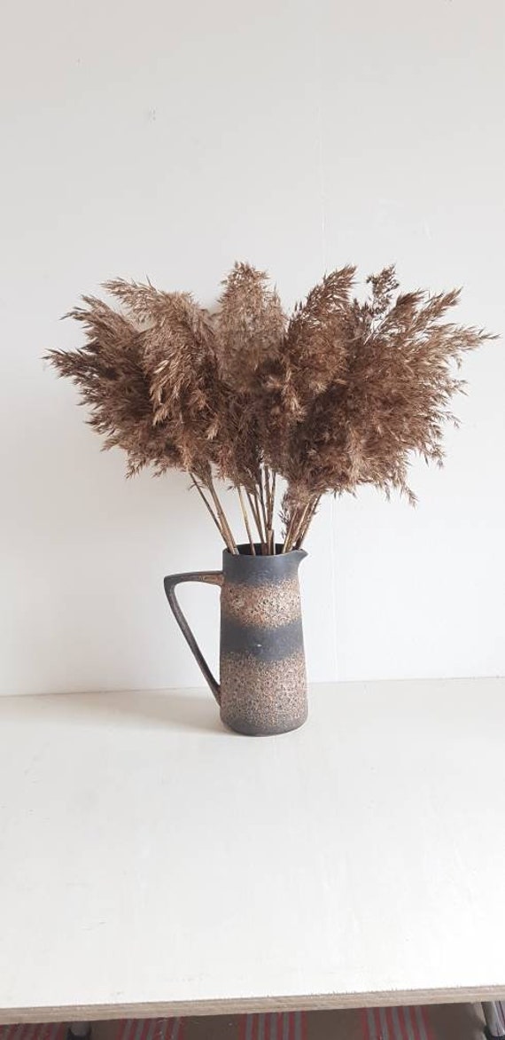 Bouquet de 20 Pampas, Roseaux Sauvages