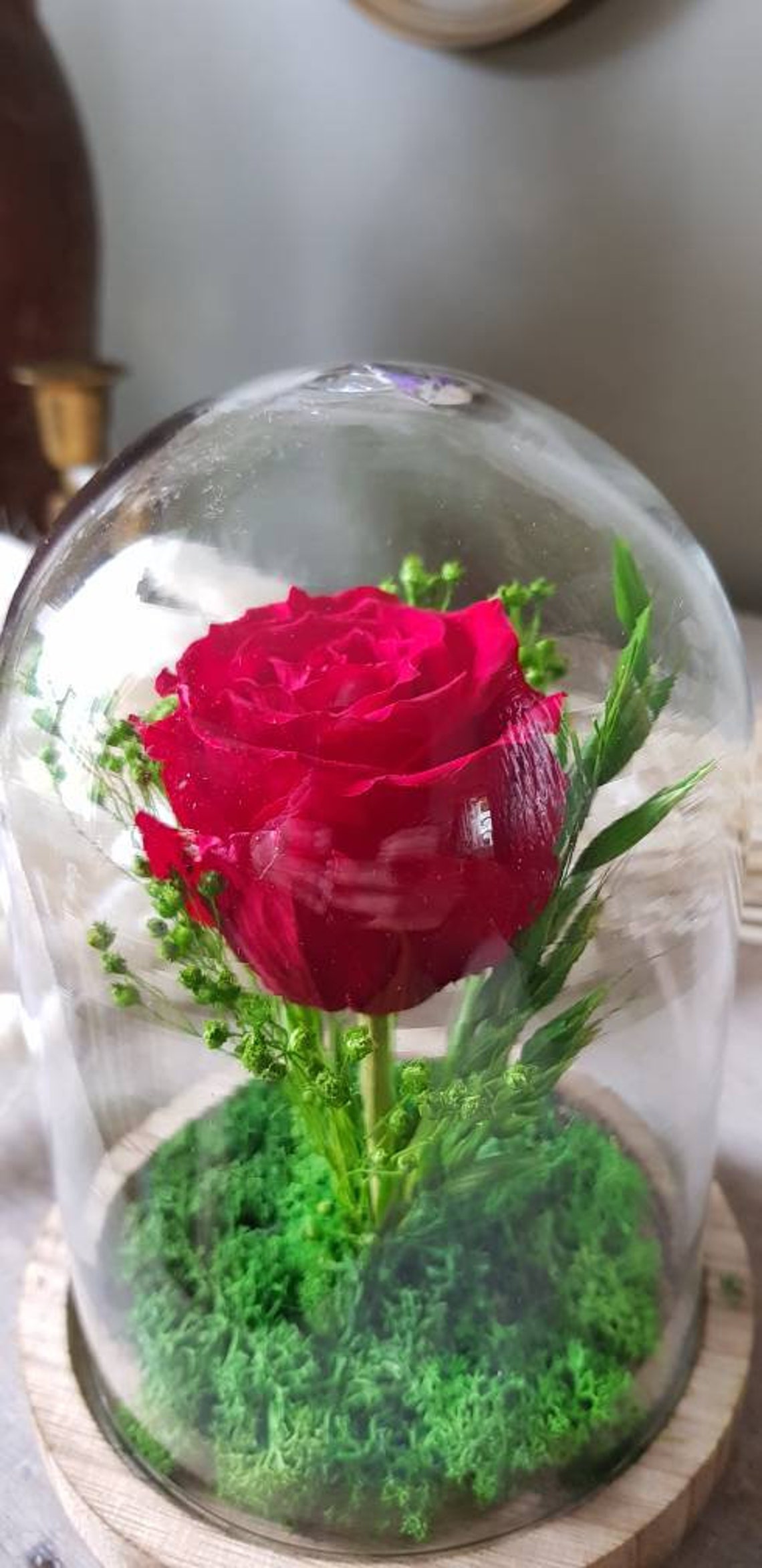 Red Rose Under Glass Bell Handmade Dried Flowers Eternal Etsy
