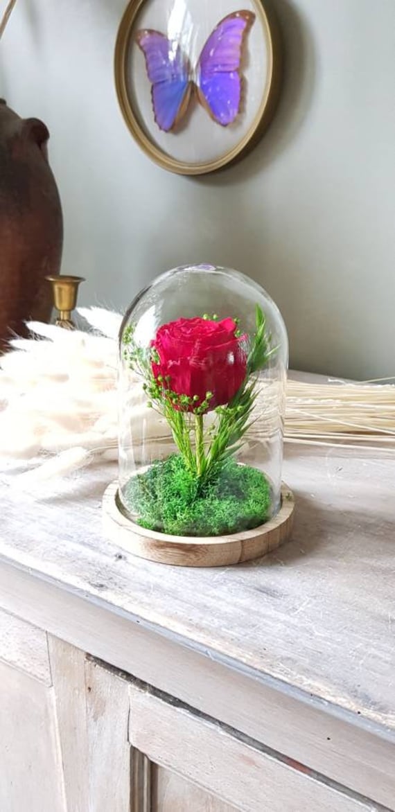 Rose Rouge Sous Cloche en Verre, Fait Main, Fleurs Séchées, Rose Éternelle