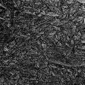 May include: A close-up view of a textured, dark gray surface. The surface has a pattern of overlapping, organic shapes with a slightly raised, granular texture. The overall effect is a dense, almost floral, design.