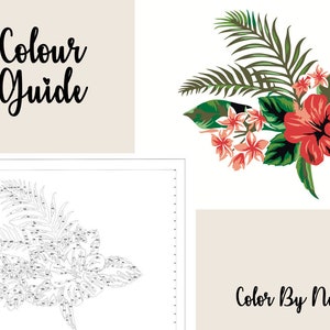 Colorful Flowers Floral DIY Painting Flower Paint by Number Kit Color by Number Kit Printable Flower Color By Number Art Project Pdf AS0091