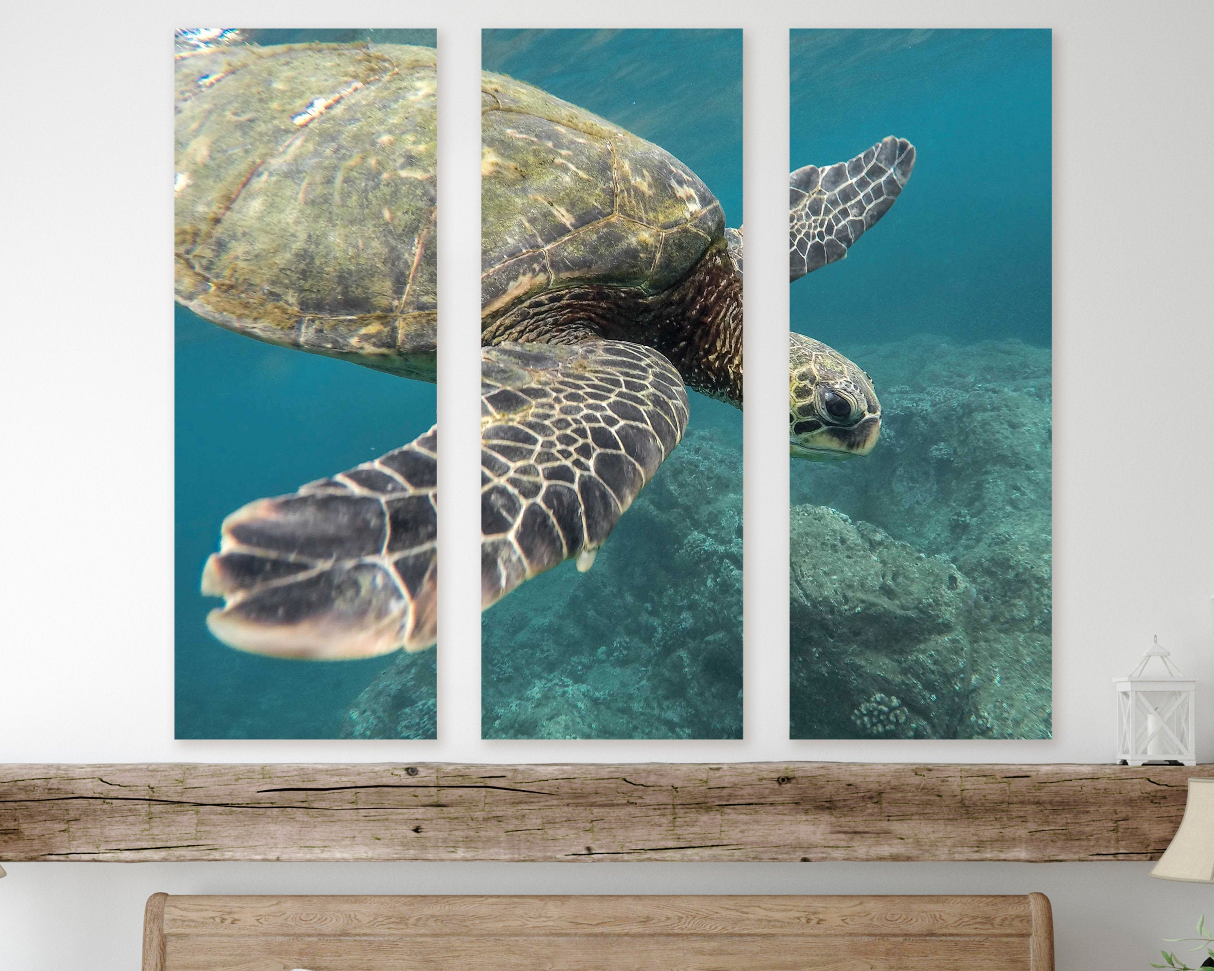 Turtle Wall Art 5 Panel Pictures With Design Canvas Set Sea Etsy