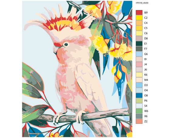 cockatoo acrylic painting home decor paintnumbers painting kit parrot  paintingnumbers adults painting diy kit painting diy as0149