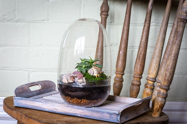 Terrarium Terranium Glass Egg Jar Cork Bottle Houseplant Perth Etsy