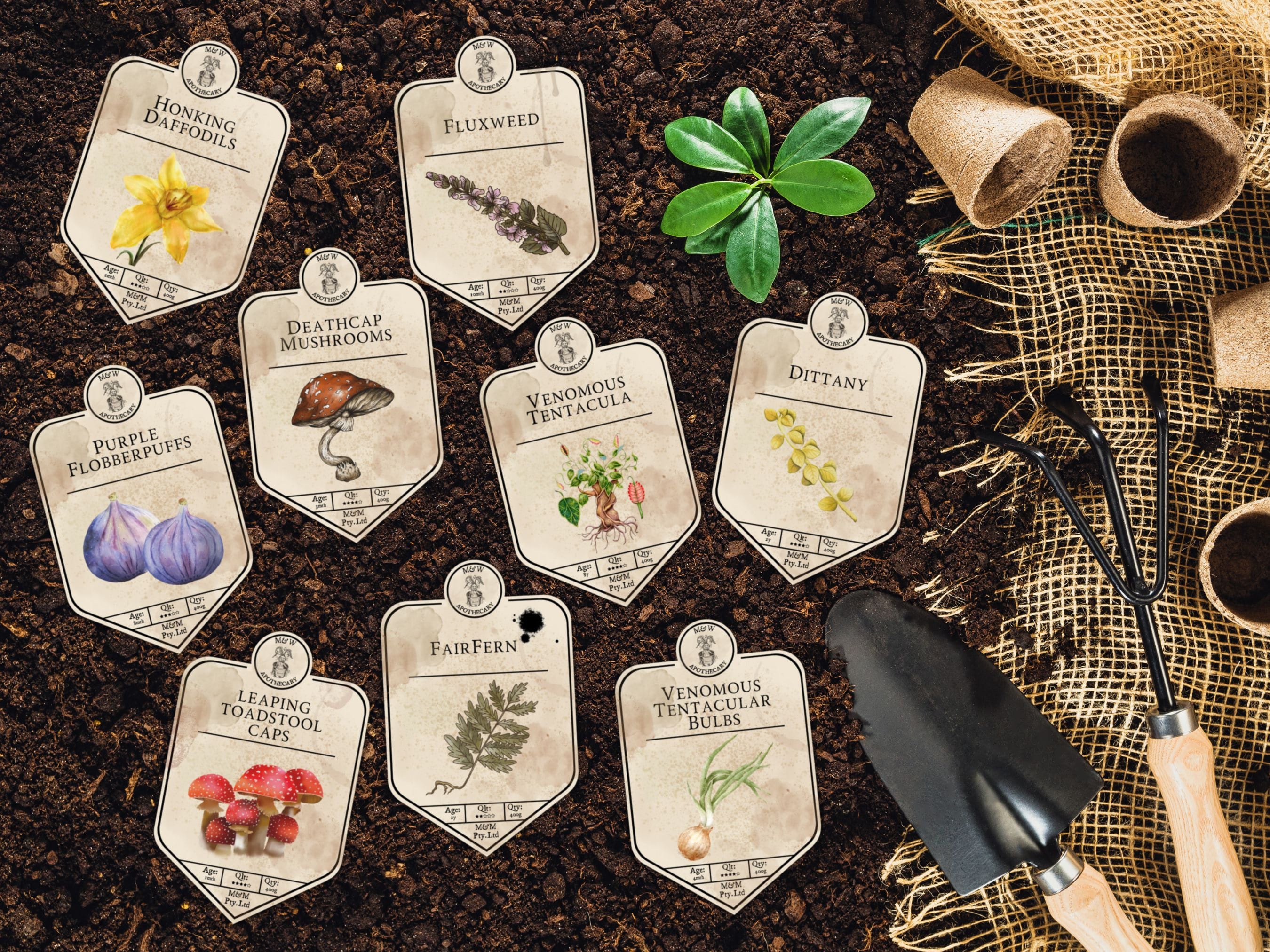 Magical Plant Labels - Etsy