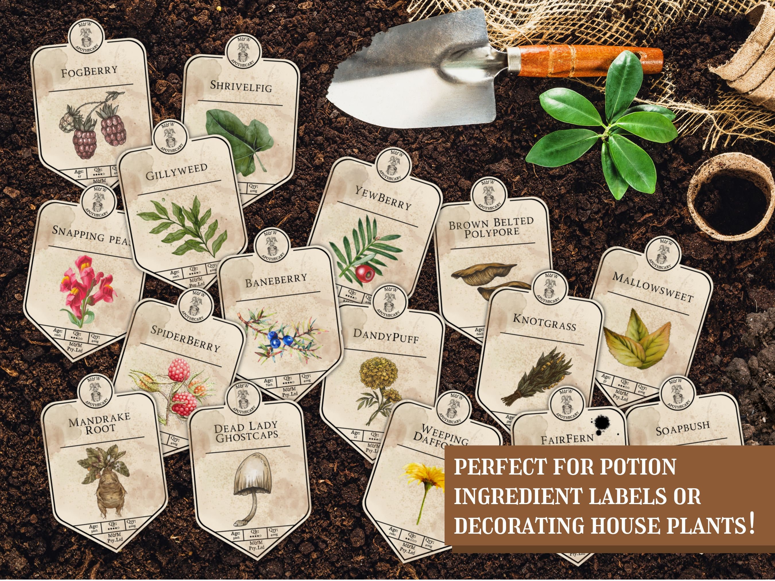 Magical Plant Labels - Etsy