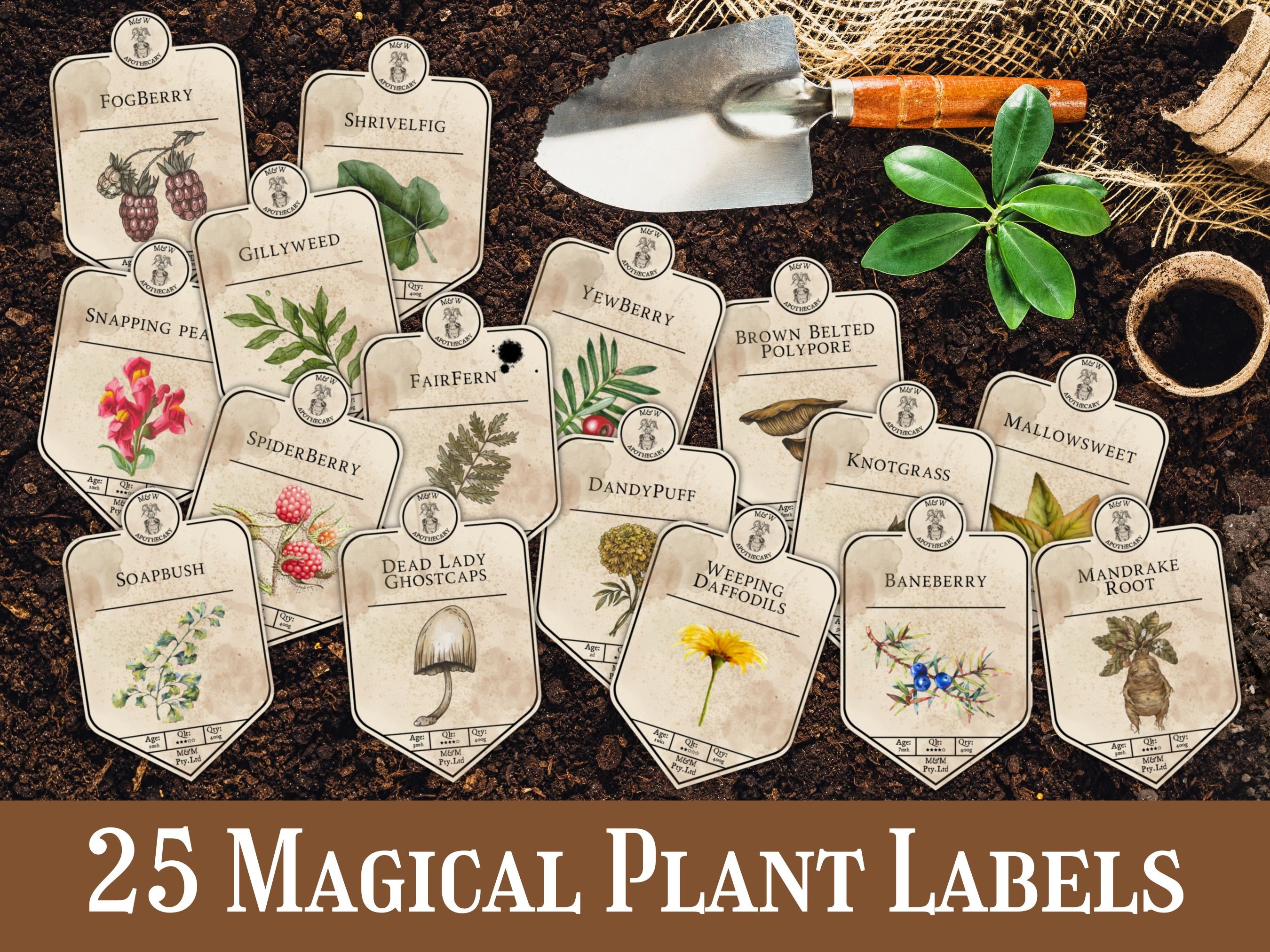 Magical Plant Labels - Etsy