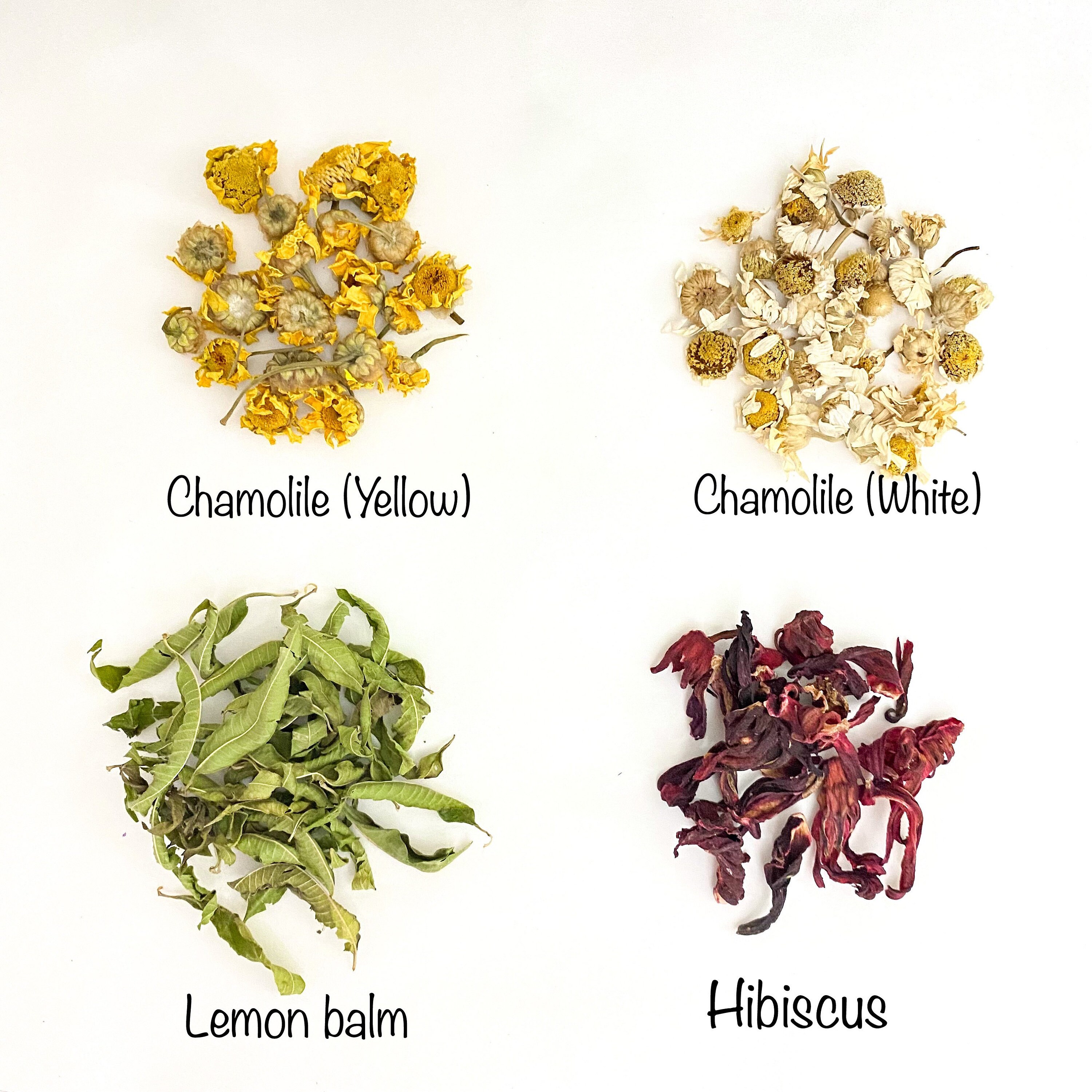 Personalized Tea Favors for Wedding Guests, Bulk Gifts, Rustic Herbal ...